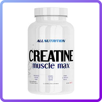 Креатин All Nutrition Creatine Muscle Max (250 г) (339028)