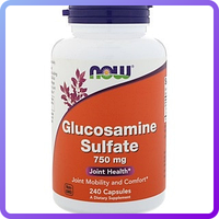 Препарати для відновлення суглобів і зв'язок Now Foods Glucosamine Sulfate 750 мг 240 капс (455336)