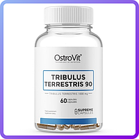 Бустер тестостерона OstroVit Tribulus Terrestris 90 (60 капс) (228202)