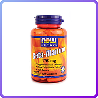 Аминокислоты NOW Beta Alanine 750 mg (120 капс) (105280)