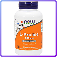Витаминно минеральный комплекс NOW L-Proline 500 mg (120 капс) (105309)