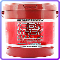 Протеин Scitec Nutrition 100% Whey Protein Professional (5 кг) (103975)