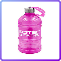 Фляга Scitec Nutrition Hydrator 1.3 Л pink (455494)