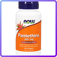 Пантетин Now Foods Pantethine 300 мг 60 желатиновых капсул (110764)