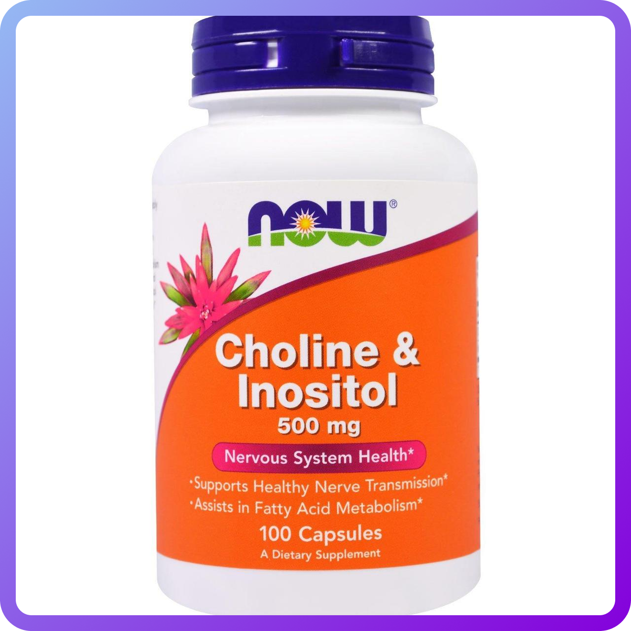 Холін (В4) і Інозитол (В8) Now Foods Choline & Inositol 250 250 мг 100 капсул вегетаріанських (343070)
