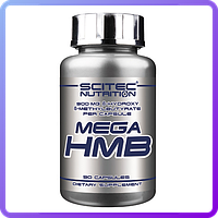 Препарат для росту м'язової тканини та спалювання жиру Scitec Nutrition Mega HMB 2700 mg (90 капс) (104045)