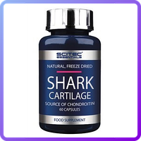 Препарат для восстановления суставов и связок Scitec Essentials Shark Cartilage (75 капс) (104075)