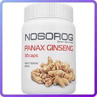 Корень Женьшеня Nosorog Nutrition Panax Ginseng (30 капс) (107219)