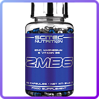 Минеральный комплекс с витамином В6 Scitec Nutrition ZMB6 (60 капс) (104109)