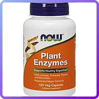 Энзимы Now Foods Plant Enzymes 120 вег.капс (234536)