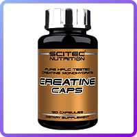 Креатин Scitec Nutrition Creatine (120 кап) (225406)