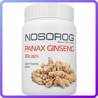 Корінь Женьшеню Nosorig Nutrition Panax Ginseng (30 кап) (339552)