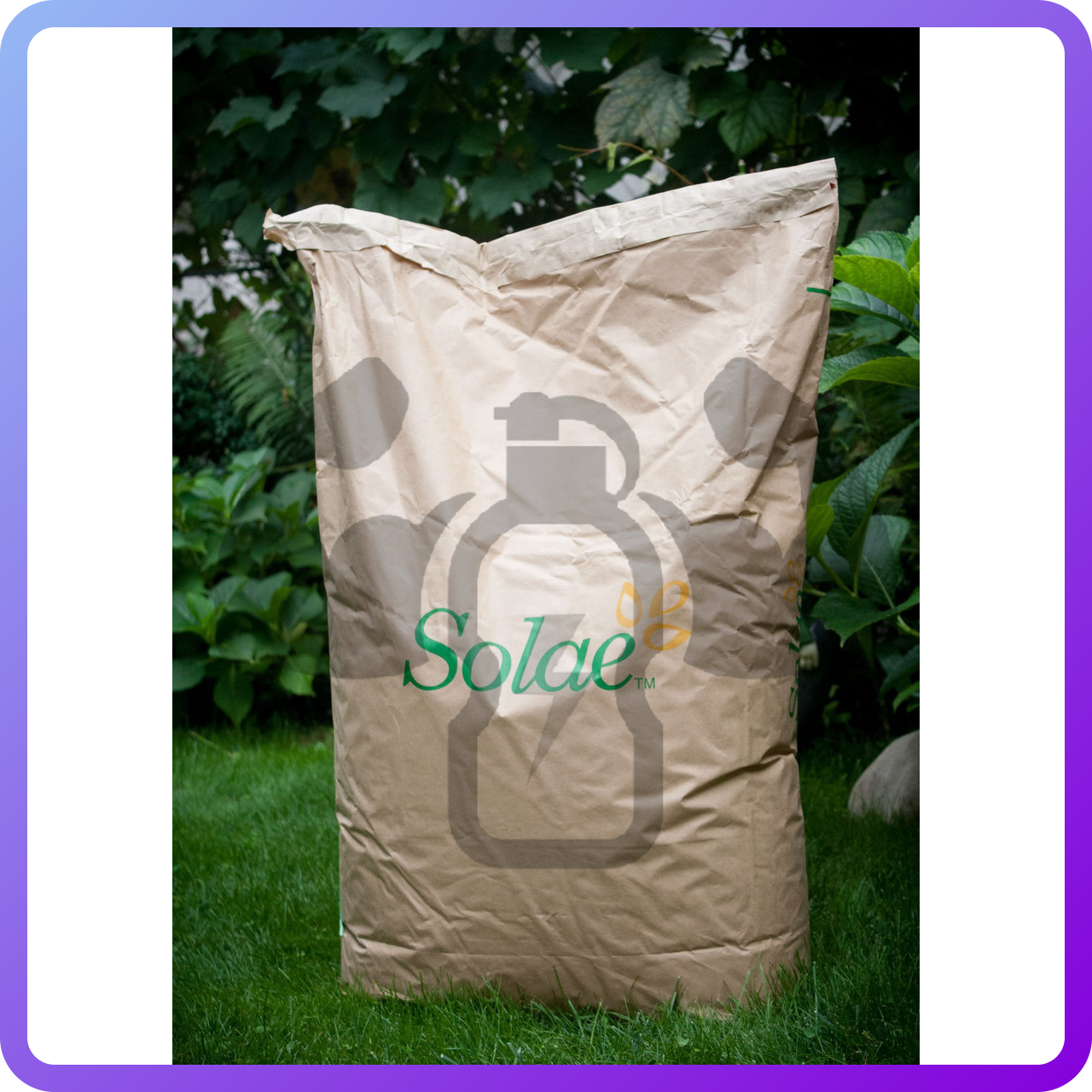 Соєвий ізолят Solae Supro (1 кг)  (447703)