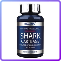 Препарат для восстановления суставов и связок Scitec Essentials Shark Cartilage (75 капс) (336475)
