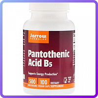 Пантотеновая Кислота (B5) Jarrow Formulas Pantothenic Acid 500 мг 100 капсул (470065)