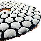 Алмазна черепашка, шліфувальний диск TDV №80, фото 2