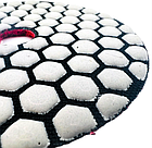 Алмазна черепашка, шліфувальний диск TDV №100, фото 3