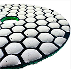 Алмазна черепашка, шліфувальний диск TDV №200, фото 4