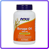 Масло огуречника Now Foods Borage Oil 1000 мг 60 гел.капс (234653)