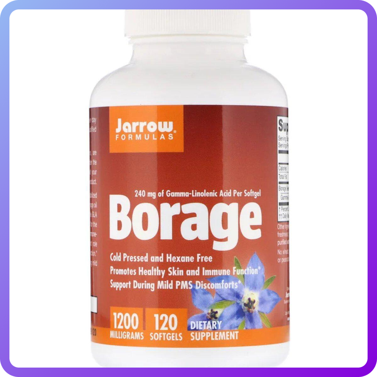 Бурачник (огіркова трава) Jarrow Formulas 1200 мг Borage GLA-240 120 м'яких желатинових капсул (344594)