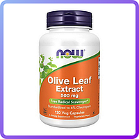 Листья оливы Now Foods Olive Leaf Extract 500 мг 120 вег.капс (471159)