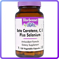 Бета-Каротин C Е+Селен Bluebonnet Nutrition Beta Carotene C E Plus Selenium 120 капсул (344724)