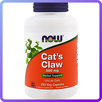 Кошачий коготь Now Foods Cat's Claw 500 мг 250 вегетарианских капсул (233859)