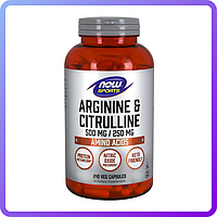 Амінокислоти Now Foods Arginine & Citrulline 500 мг250 мг 240 вег.капс (113588)