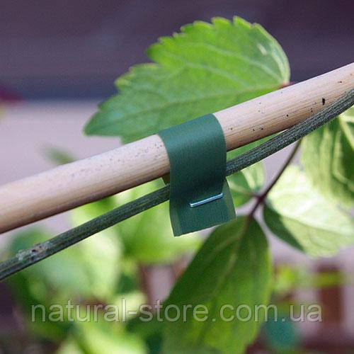 Садовый степлер tapener MAX HT-RS + Итальянская лента 10шт - Японский - для подвязки винограда, помидор - фото 4 - id-p1829758925