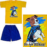 Футболка і шорти Пес Патрон 09.16.10, фото 5