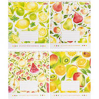 От 16 шт. Зошит кольоровий 24 аркуша, лінія 3374D купить оптом