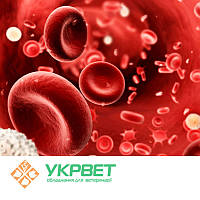 ІФА тест система для визначення вірусу Лейкозу ВРХ