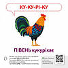Логопедична гра "Звуконаслідування. Тварини" (15 карток, QR аудіопідтримка) Кенгуру, фото 3
