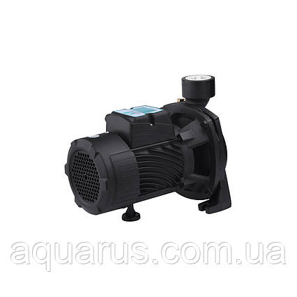 Насос поверхневий поливальний Pumpman TGA1A Нmax 18 м Qmax 16 куб.м 1 1/2"х1 1/2" 750 Вт, фото 1