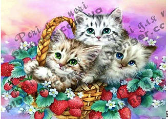 Картинка для кондитерских виробів Жіноча (На торт круг, прямокутник) (лист А4)