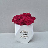 Кашпо з мохом та привітанням - Подарунок мамі, матусі на день матері, фото 7