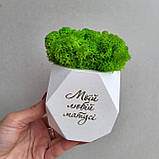 Кашпо з мохом та привітанням - Подарунок мамі, матусі на день матері, фото 6