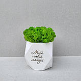 Кашпо з мохом та привітанням - Подарунок мамі, матусі на день матері, фото 3