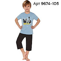 Піжама літня для хлопчика Baykar Туреччина дитячі бавовна бриджі футболка арт 9674-105 Синій