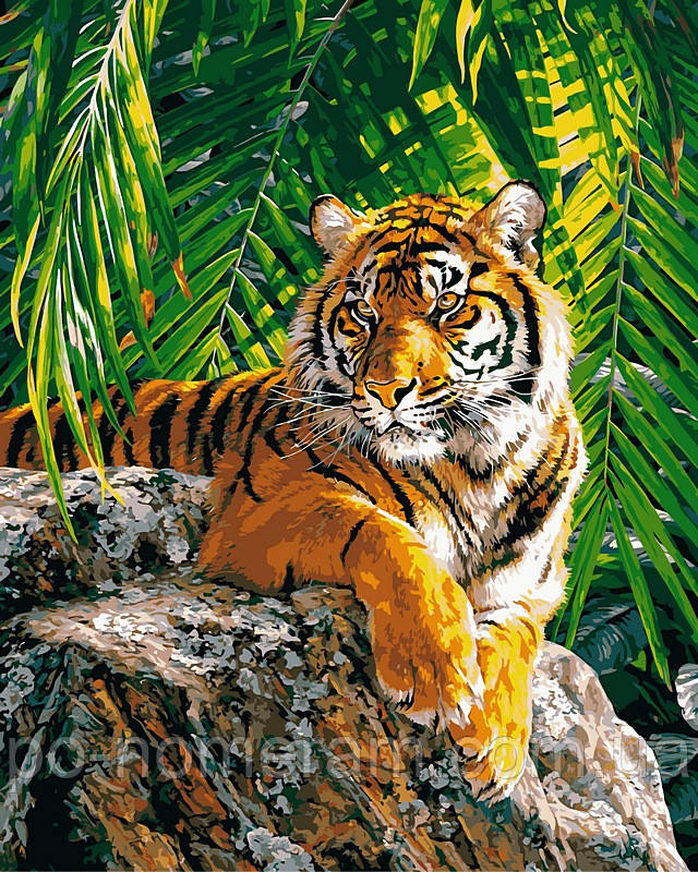 Розмальовка для дорослих Babylon Суматранська тигриця (VP461) 40 х 50 см