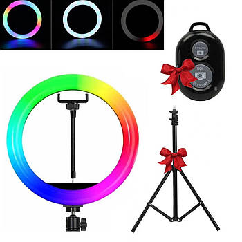 Кільцева RGB лампа 33см MJ33 + Подарунок Штатив для лампи 0,66-2 м + Пульт для селфі / Світлодіодна лампа кільце