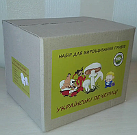 Грибная коробка для выращивания шампиньонов. Домашняя ферма шампиньонов