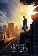 Постер "Fantastic Beasts (Dusk)" 61 x 91,5 cм
