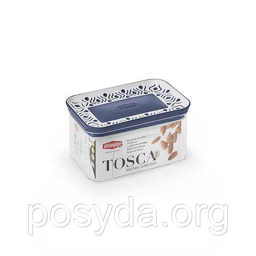 Прямокутна ємність для зберігання продуктів TOSСA 0.7л, біло-синя (55551), фото 1