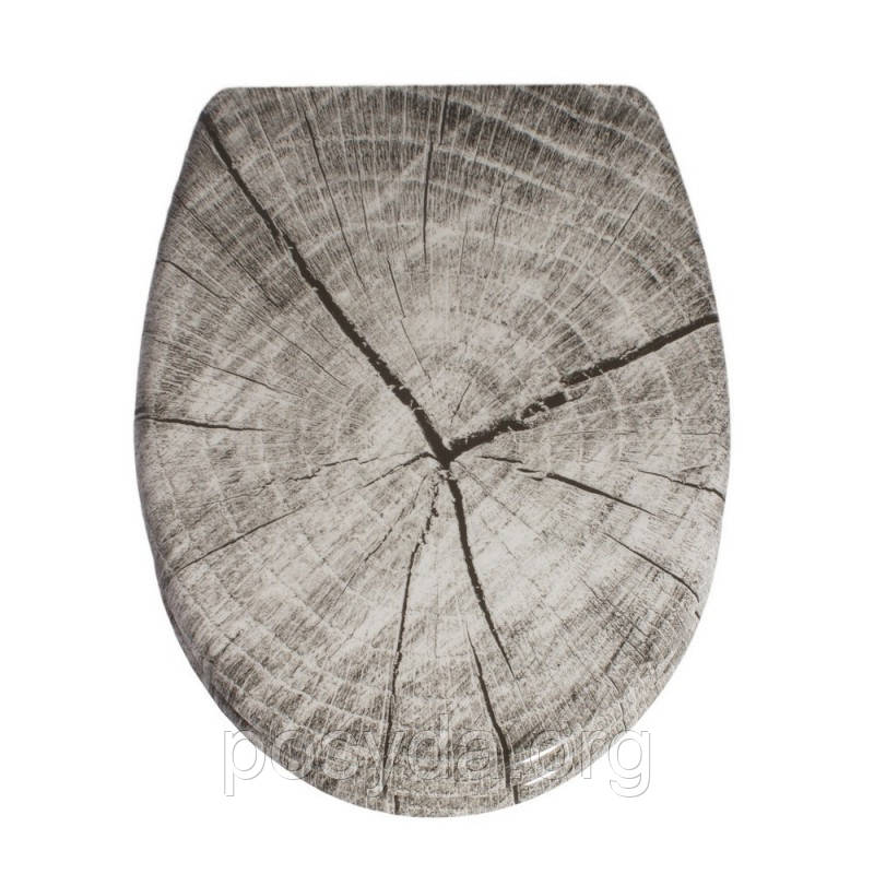 Кришка для унітазу Ashen, ТМ AWD Interior AWD02181491, фото 1