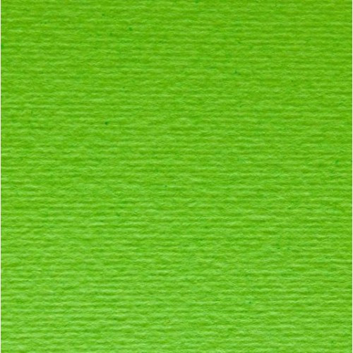 Картон салатовий А3 (297*420) 220 г/м2, Elle Erre Fabriano №10 Verde Picello