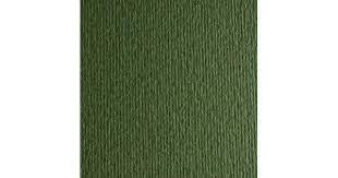 Картон темно-зелений А3 (297*420) 220 г/м2, Elle Erre Fabriano №28 Verdone