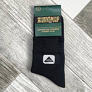 Шкарпетки чоловічі бавовна із сіткою середні Житомир ГС, розмір 42-45, чорні, 08992, фото 2