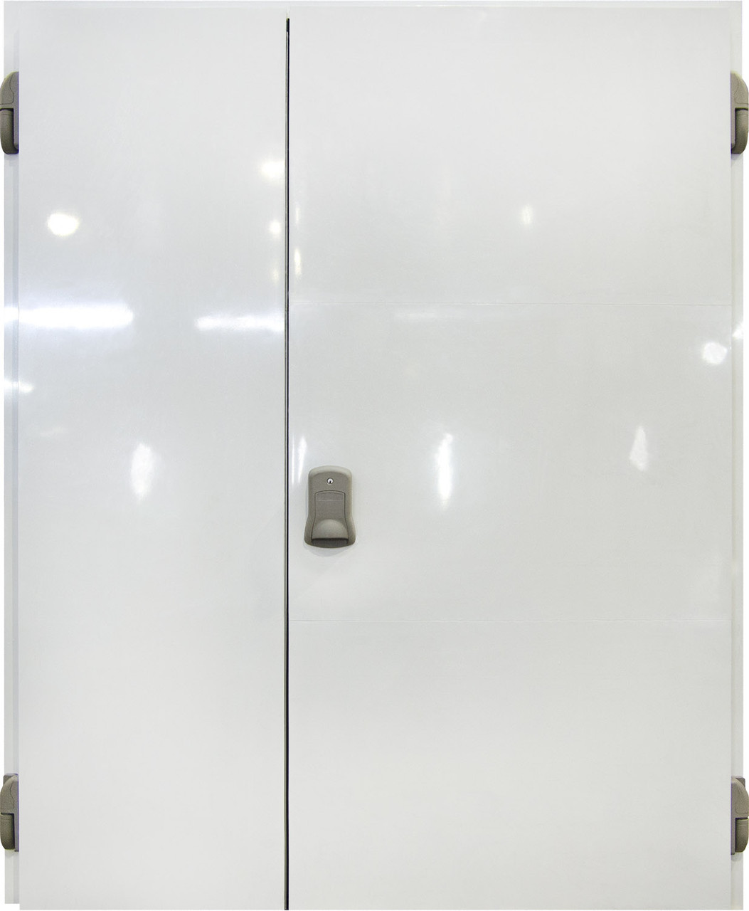 Распашные двери для морозильных камер - Стандарт 2ств ППУ120 1700х2200 Tehma - фото 1 - id-p1627907862