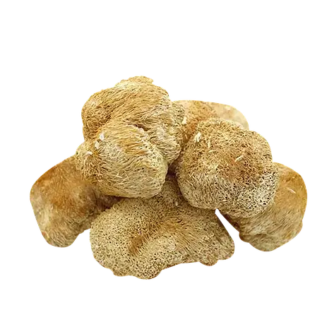 Їжовик гребінчастий  гриб (Герицій їжаковий) сушений 500 гр, фото 2